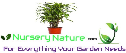 Nursery Nature logo
