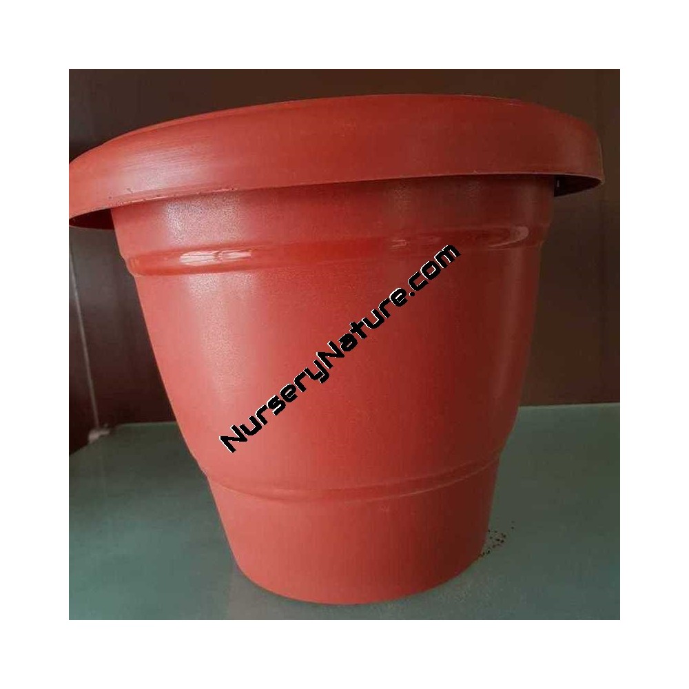 Buy Best Quality Plastic  Pot  Terracotta  18 Online at 